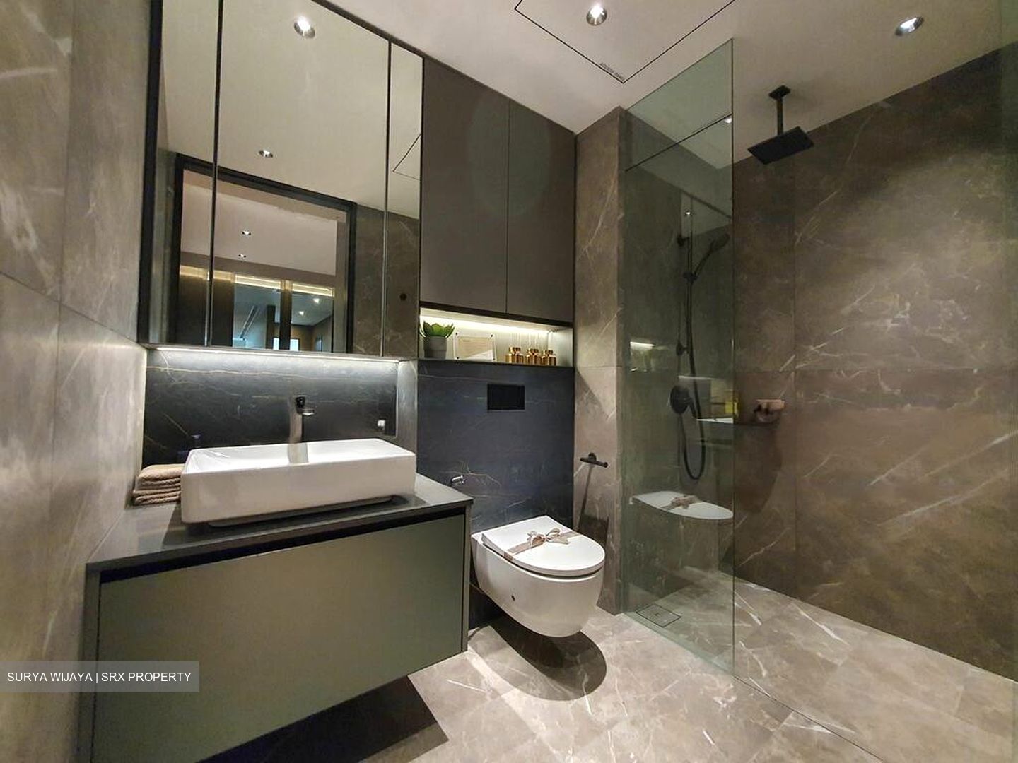 Irwell Hill Residences (D9), Apartment #576266551